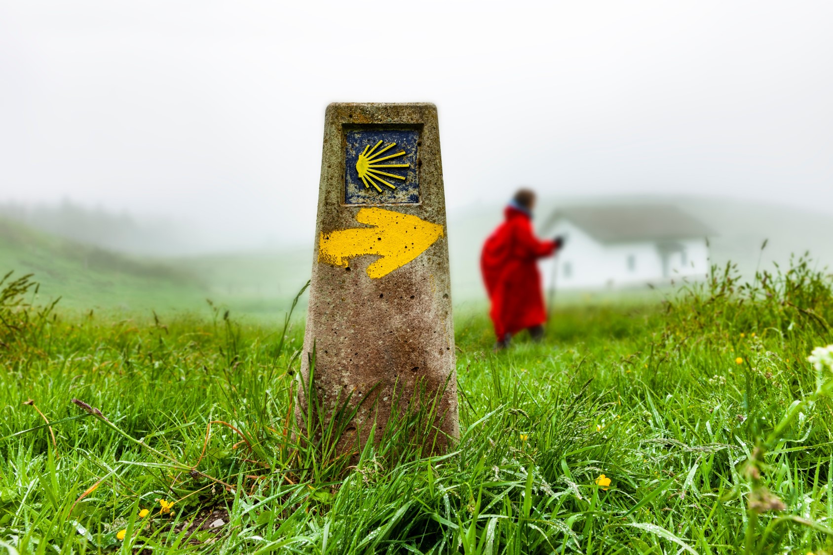 El Camino de Santiago
